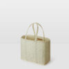 Flat-Small-Palm-FLBA24S-